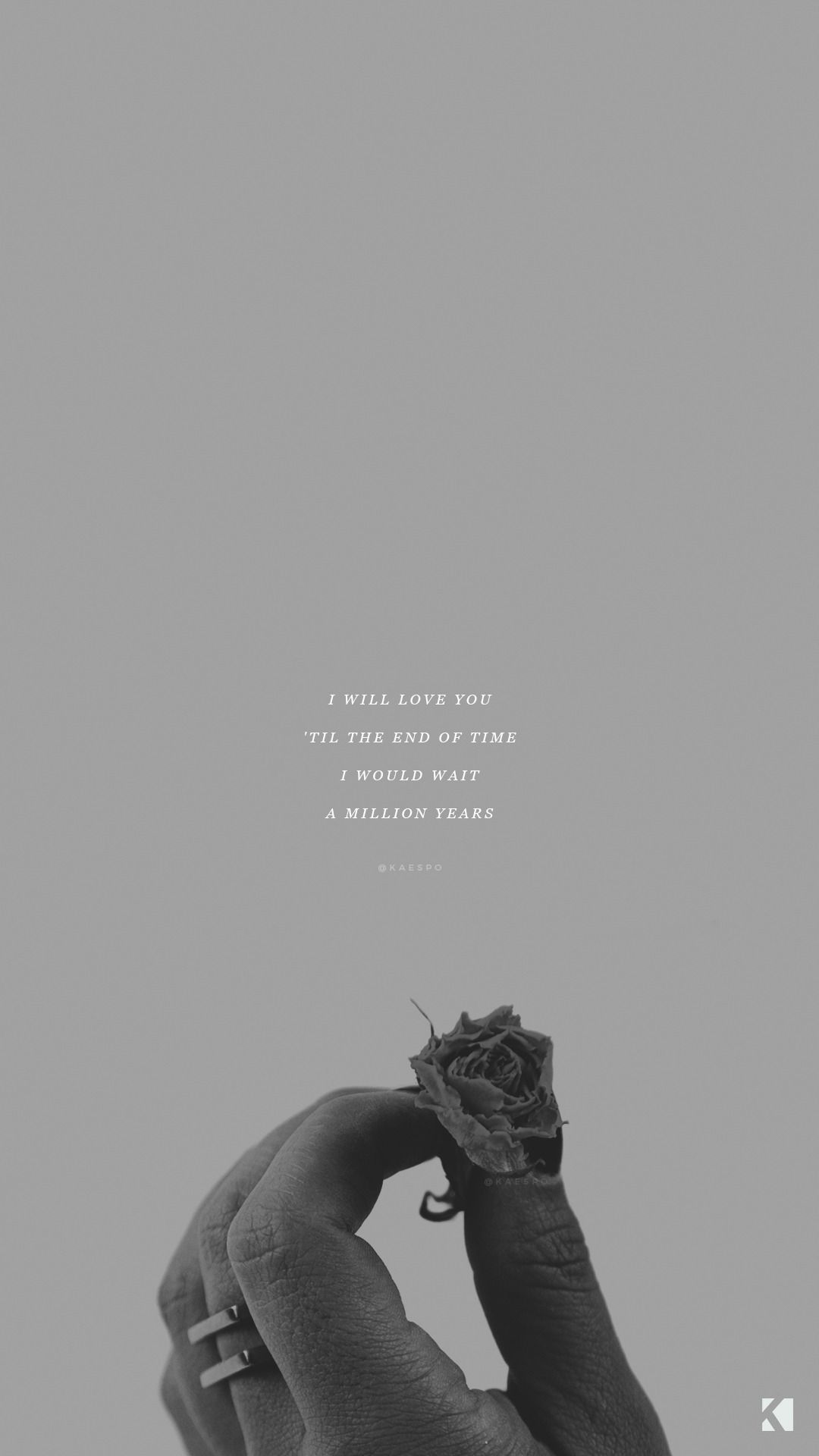 IPhone wallpaper of a person holding a dried rose with the lyrics 