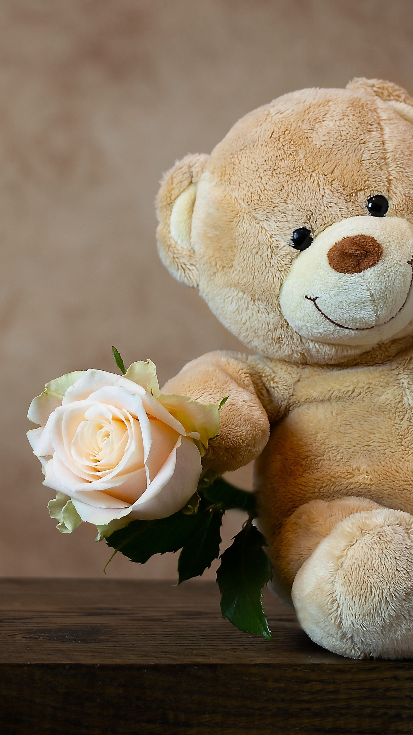 A teddy bear holding up an orange rose - Teddy bear