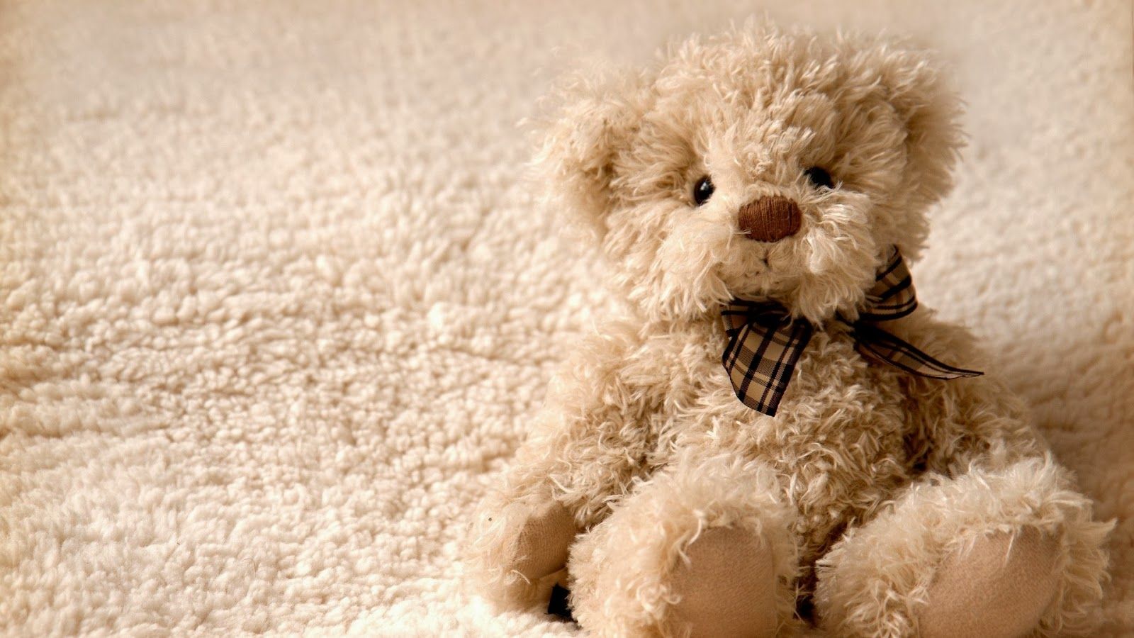 A teddy bear sitting on a white fluffy carpet - Teddy bear