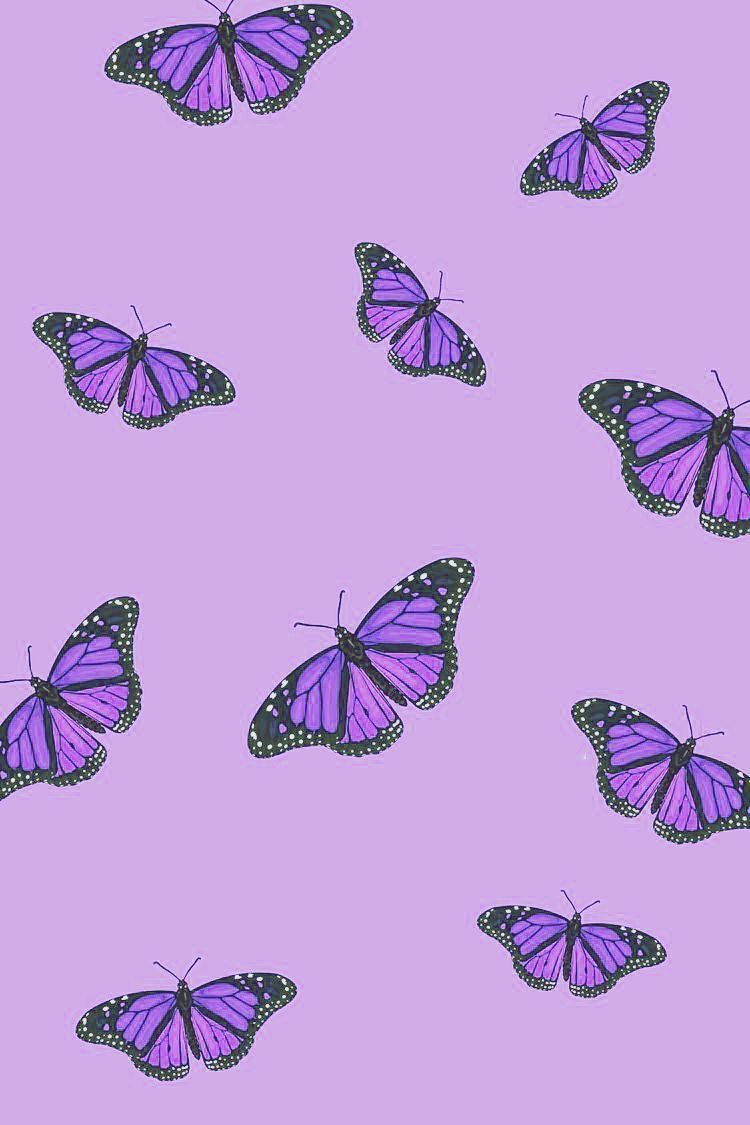 A purple butterfly wallpaper with a light purple background - Purple, cute purple, violet, butterfly