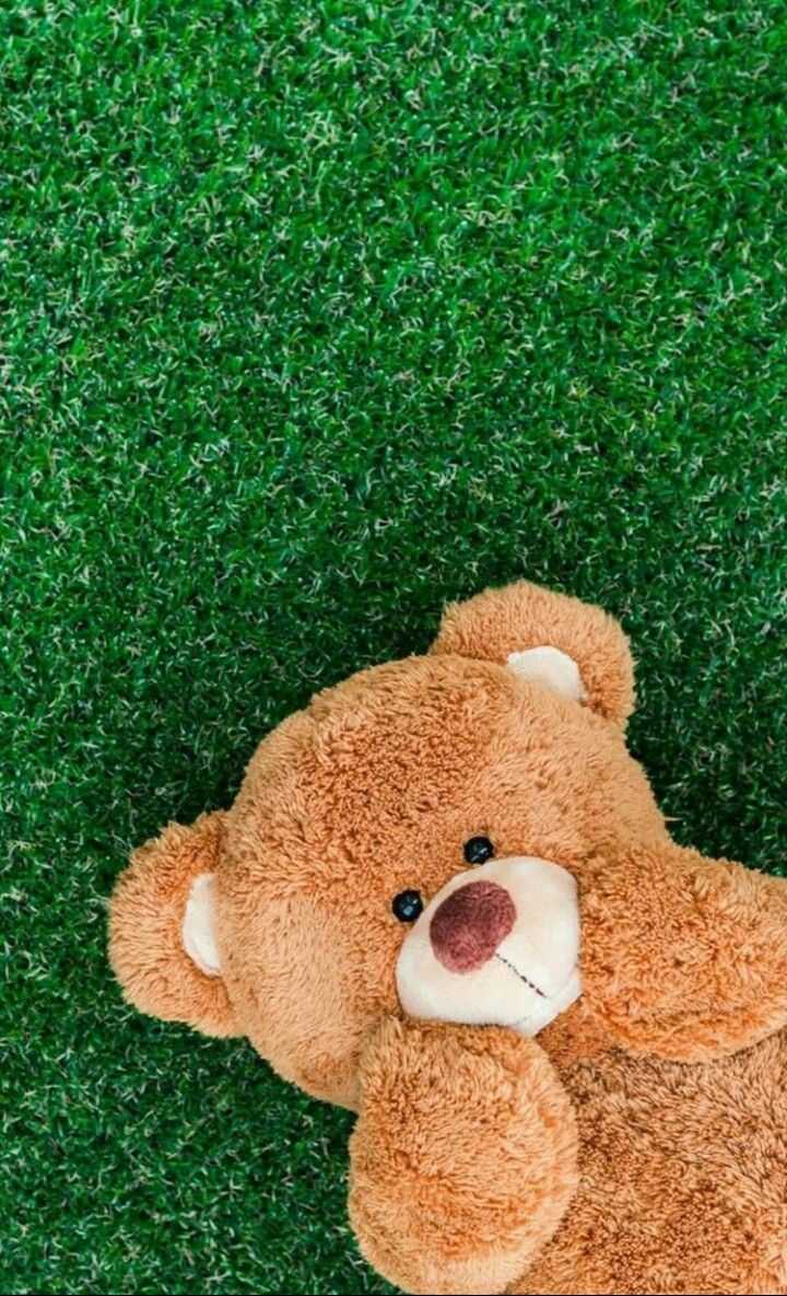 A brown teddy bear lying on green grass - Teddy bear