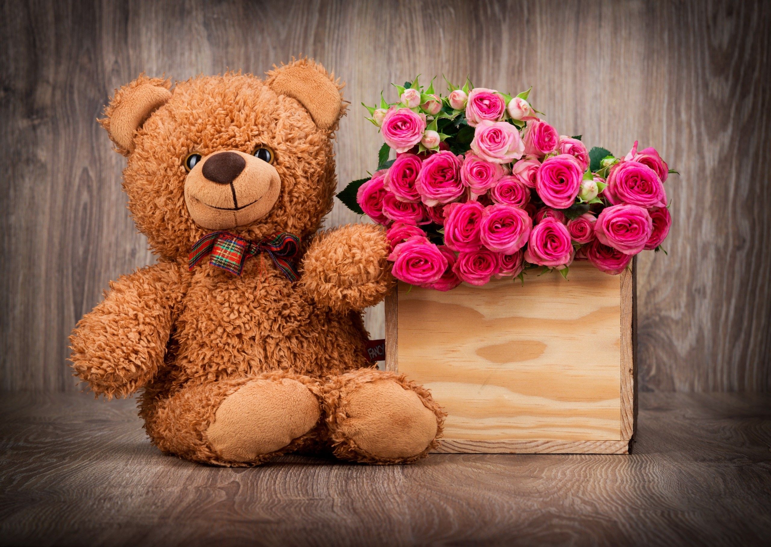 A teddy bear sitting next to some flowers - Teddy bear