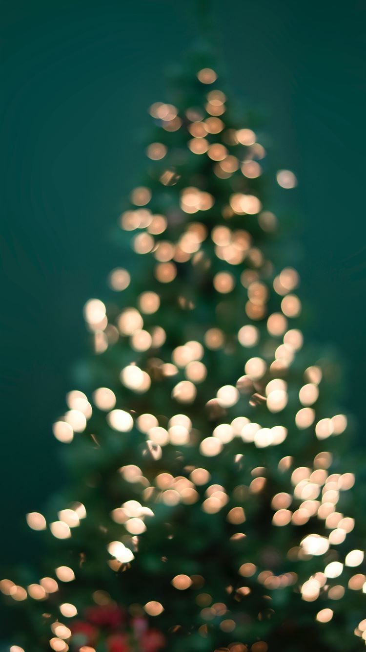 IPhone wallpaper of a Christmas tree with lights. - Christmas lights, Christmas iPhone