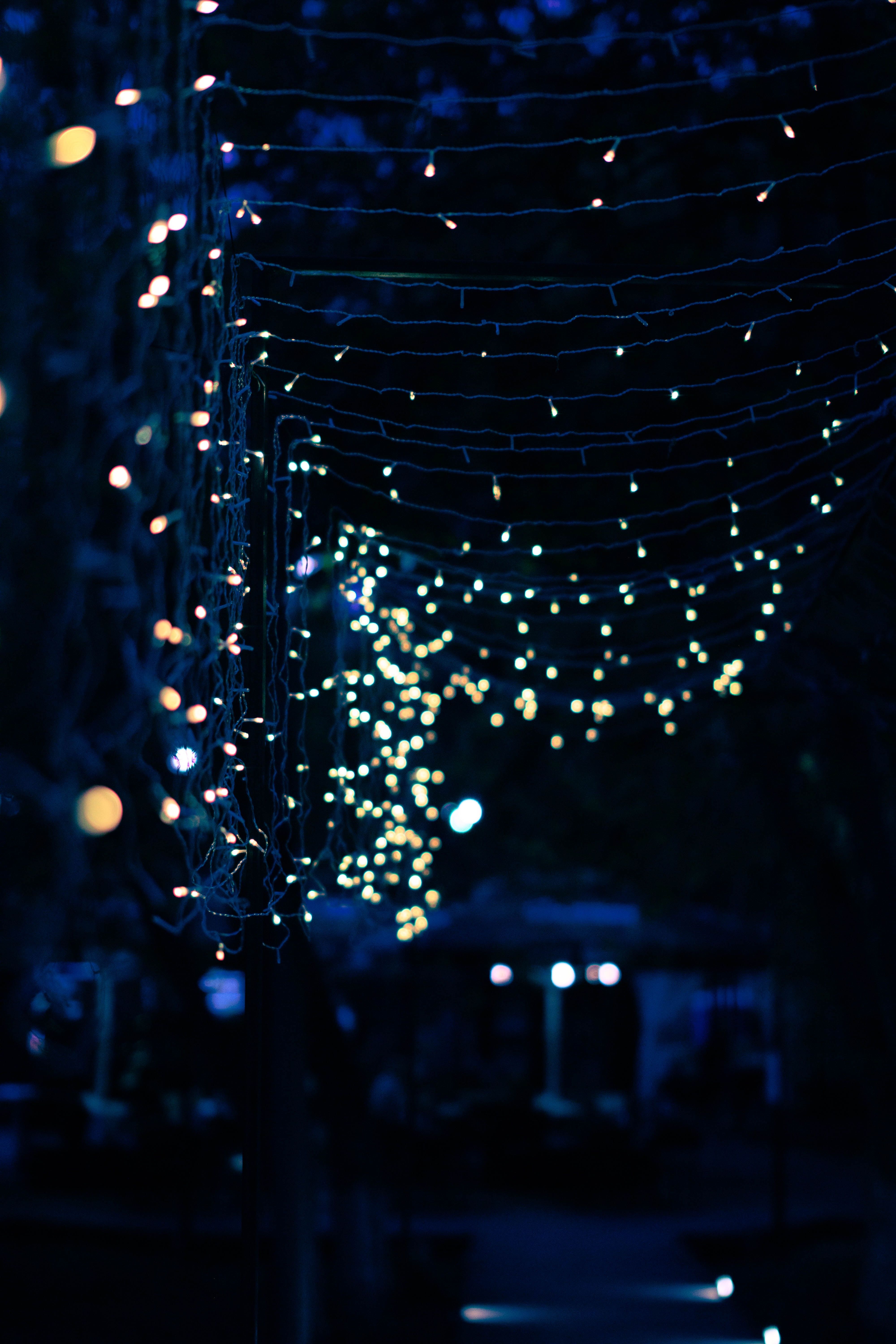 Outdoor Christmas Lights Photo, Download Free Outdoor Christmas Lights & HD Image