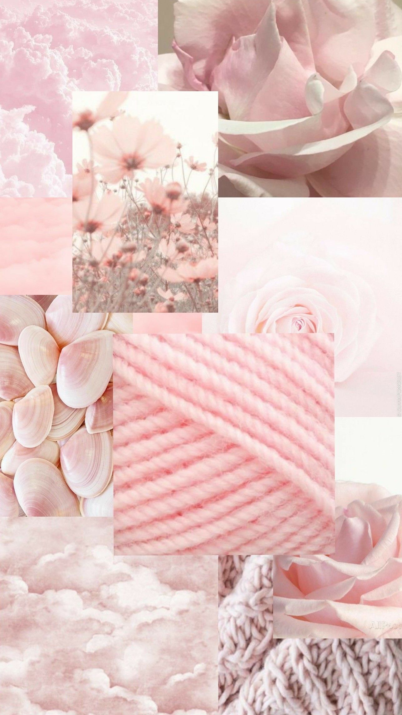 A collage of pink and white flowers - Pink, pastel pink, soft pink