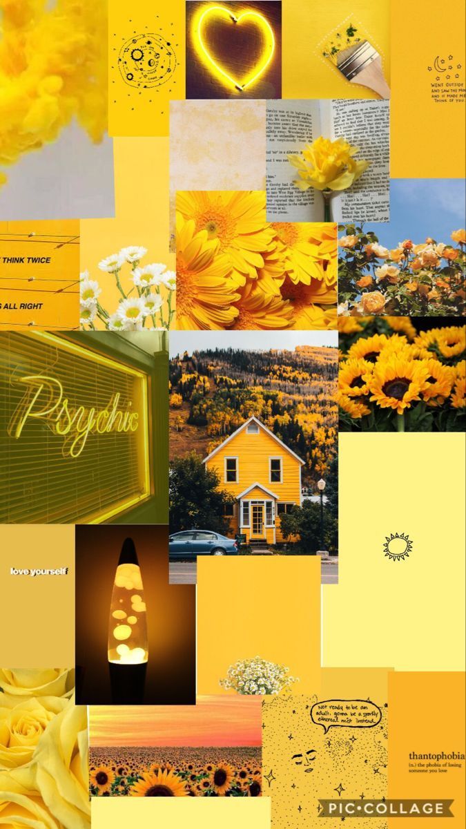 A collage of pictures with yellow flowers - Yellow