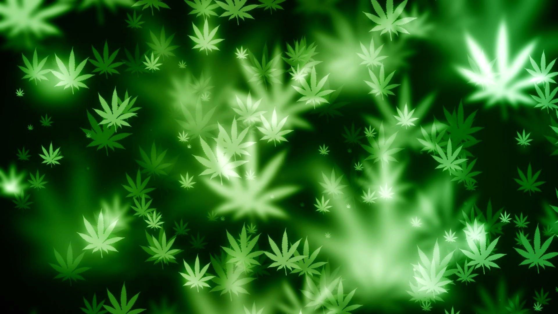 HD Wallpaper | Background ID:475699. 1920x1080 Green HD. A green background with many marijuana leaves - Weed