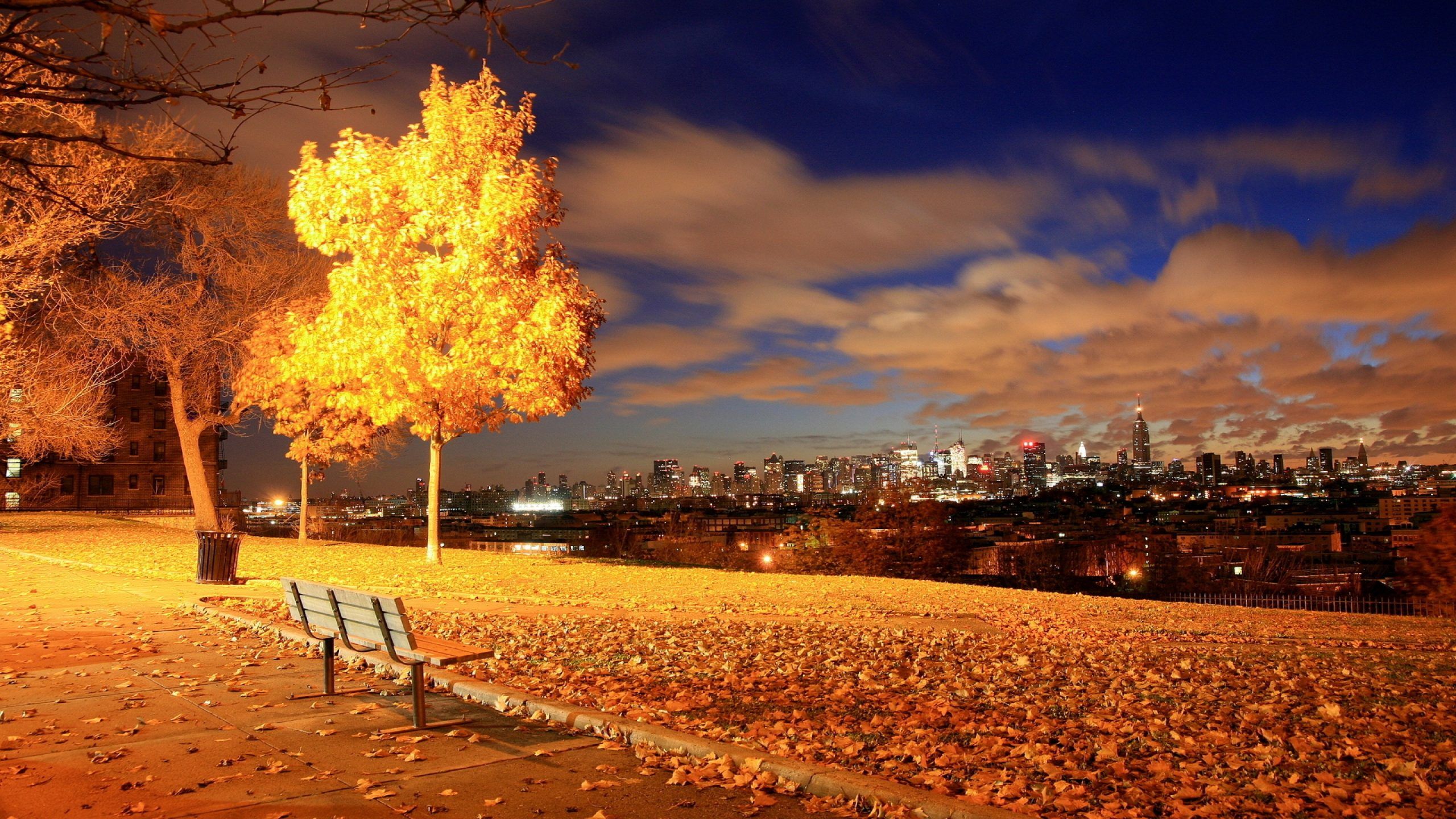 A park bench overlooking a city at night - Fall