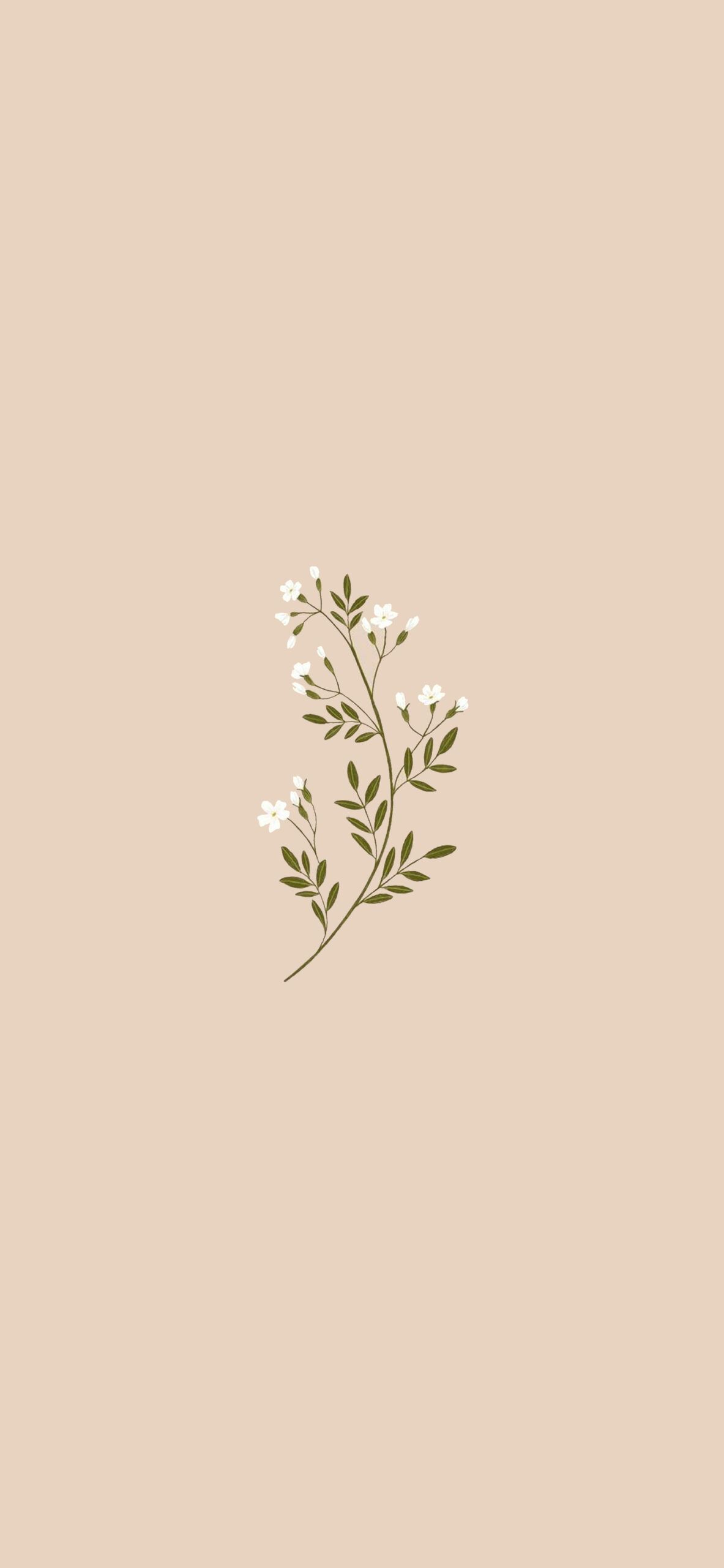 Jasmine Blossoms Beige Wallpaper Wallpaper for iPhone