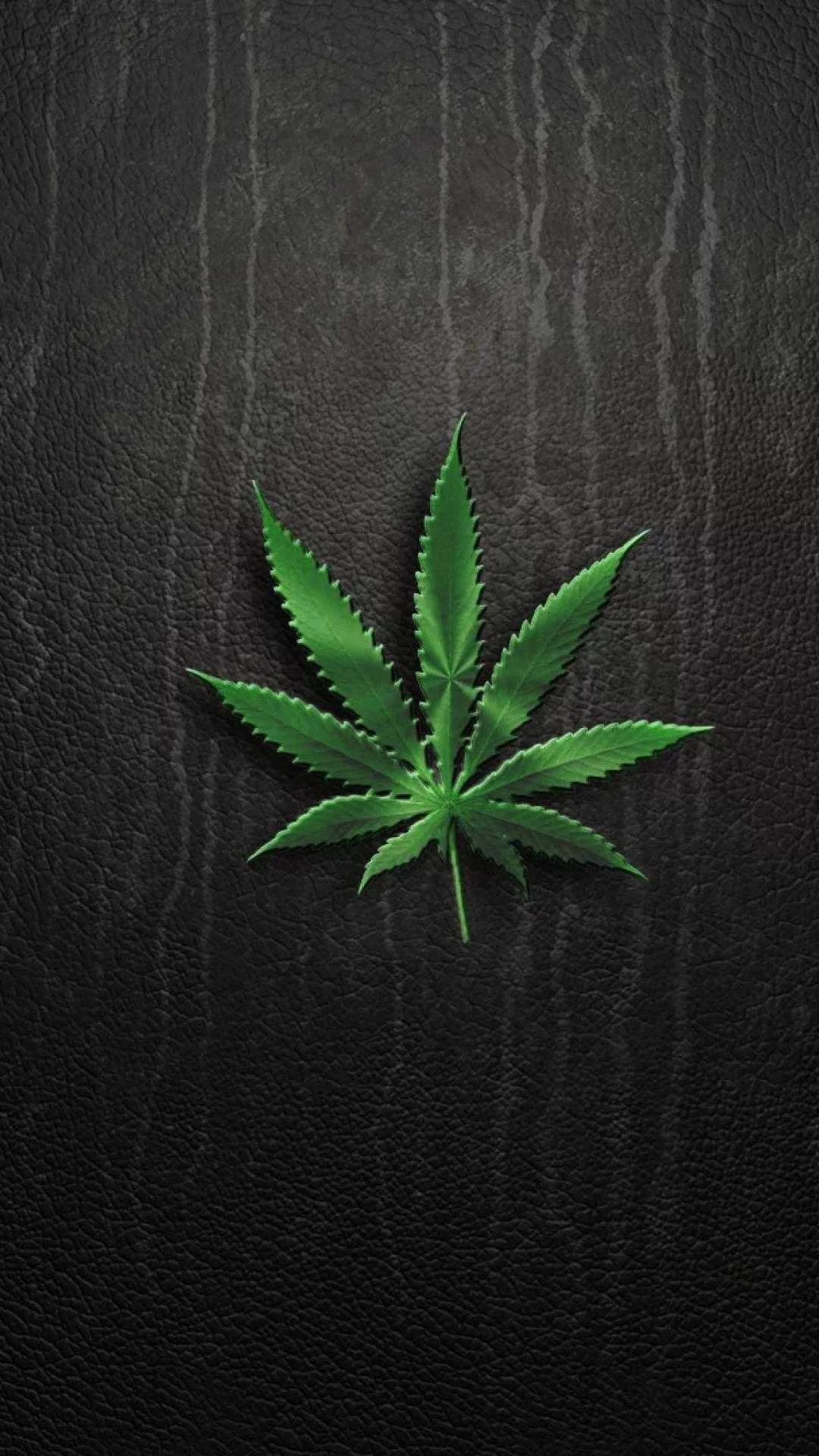 A green marijuana leaf on black background - Weed