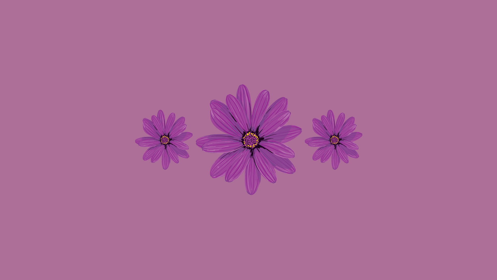 A purple flower with three petals on pink background - Purple, desktop, cute purple, spring, violet, purple quotes