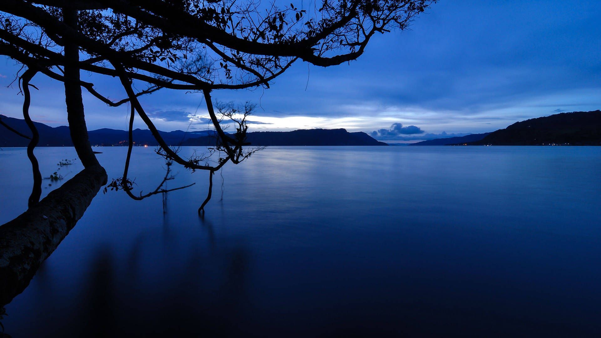 A calm lake at night with a tree in the foreground. - Dark blue, lake