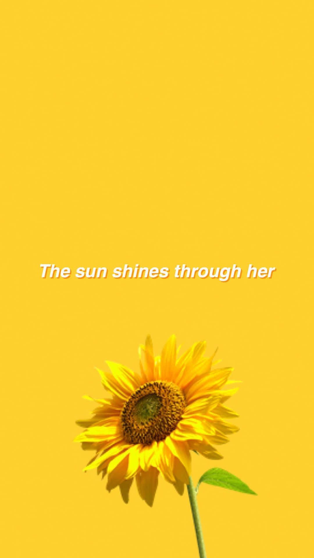 Download Sunflower Yellow Wallpaper