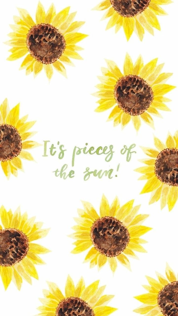 Image about sunflower in wallpaper