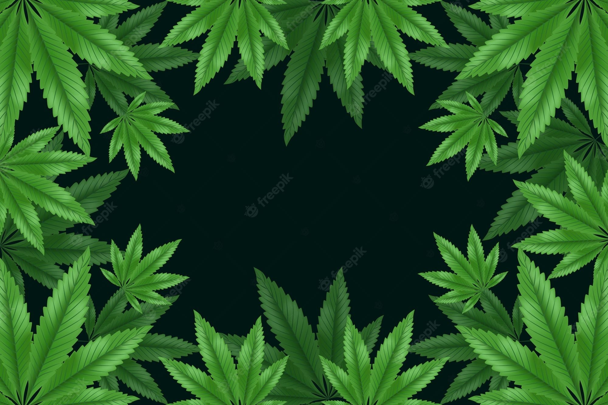 A green marijuana leaf background - Weed