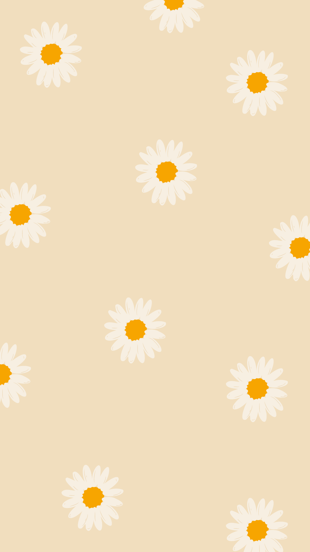 A pattern of daisies on beige background - Cute