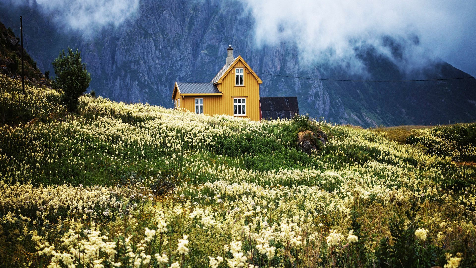 A yellow house on a hillside with flowers and mountains in the background. - Cottagecore
