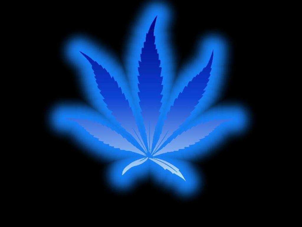 A blue neon cannabis leaf on a black background - Weed