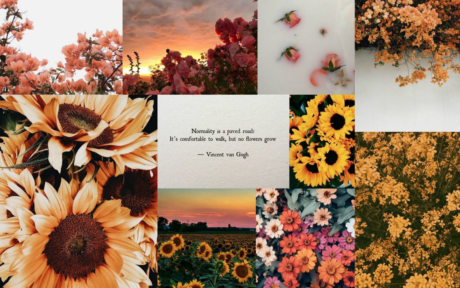 A collage of pictures with flowers and sunsets - Spring