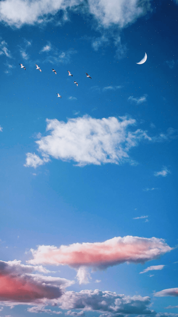 A flock of birds flying in the sky with the moon - Cloud