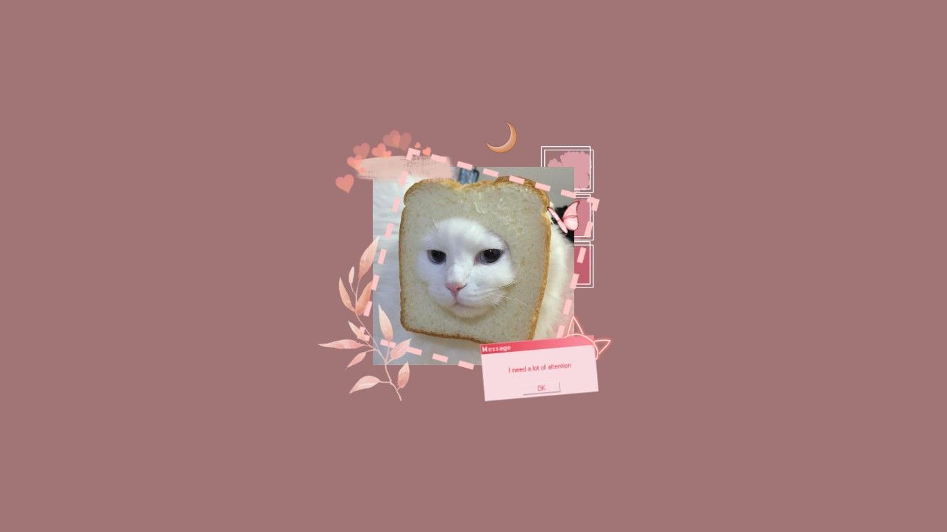 A cat in a piece of bread - Cat