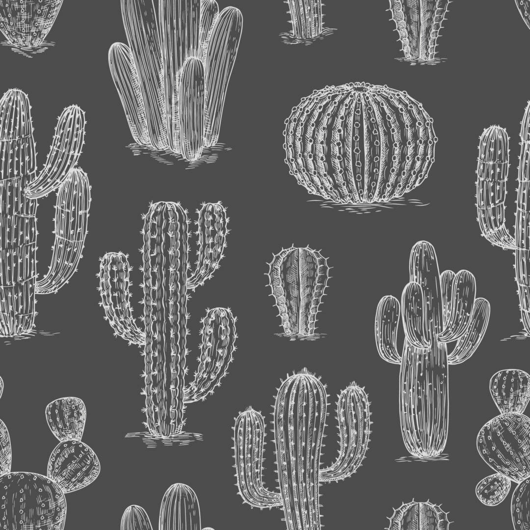 A black and white pattern of various cacti - Cactus