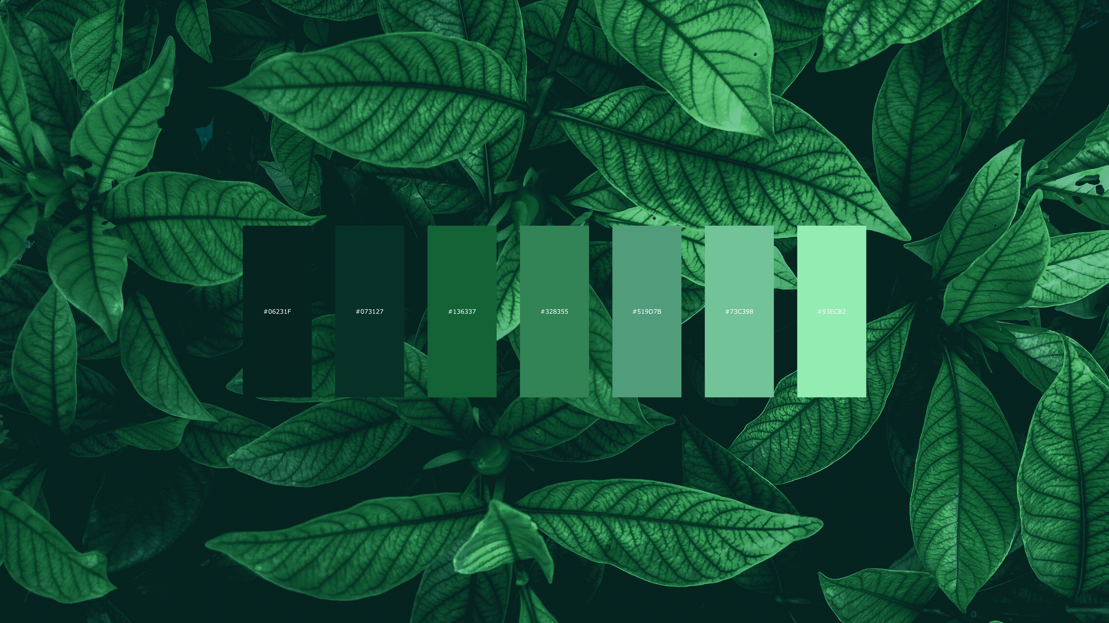 Leaves color palette [3840X2160]
