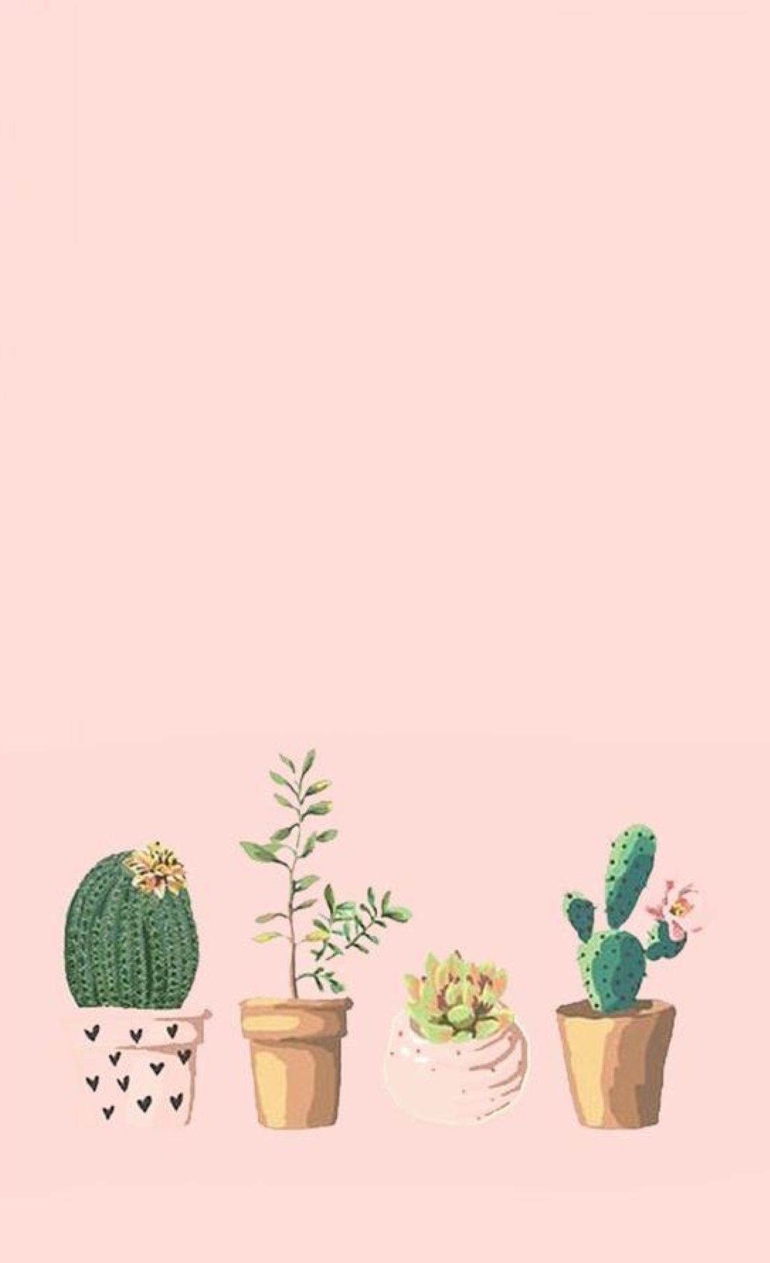 A wallpaper with pink background and cactus plants - Cactus