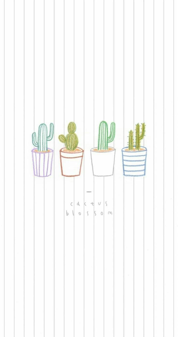 Cactus wallpaper for your desktop - Cactus
