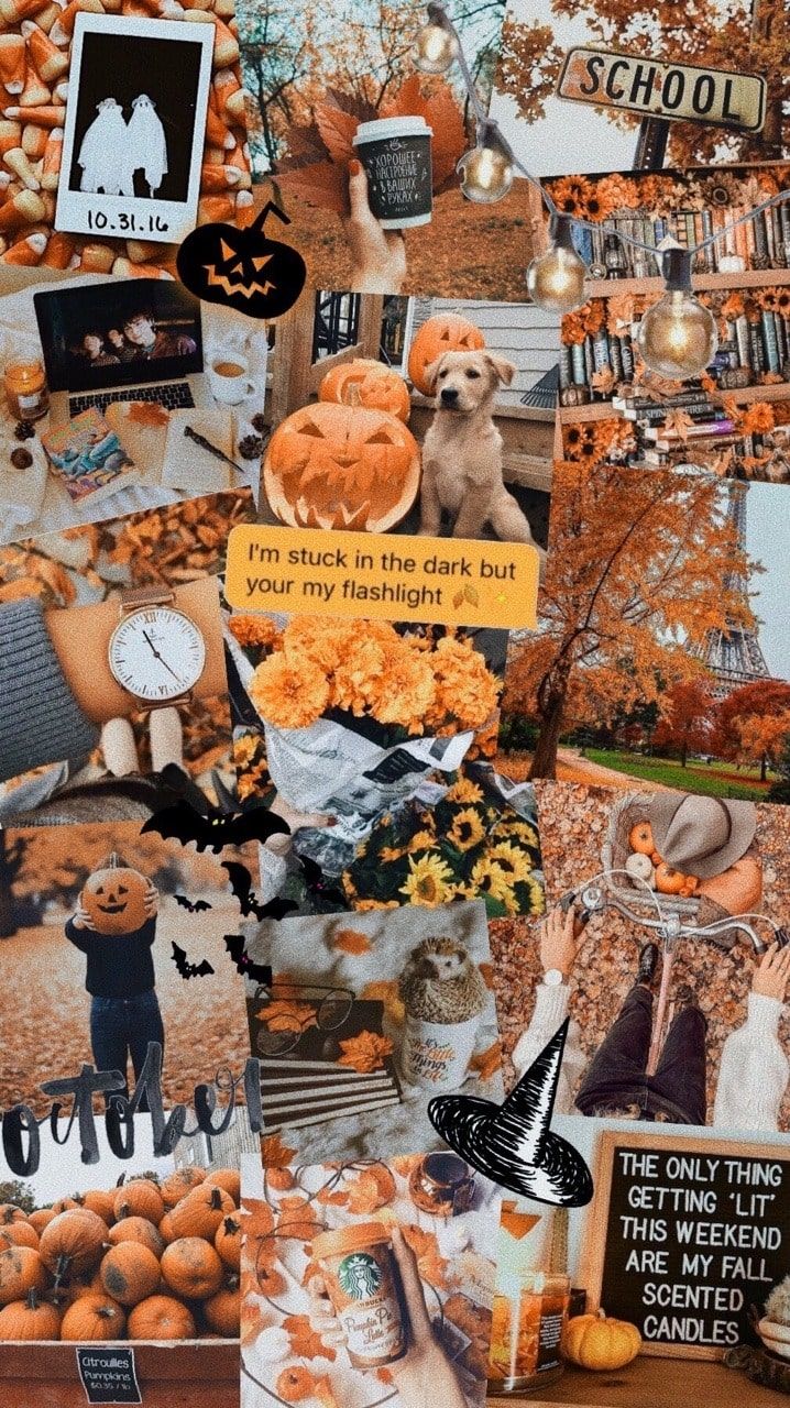 Fall Collage Wallpaper