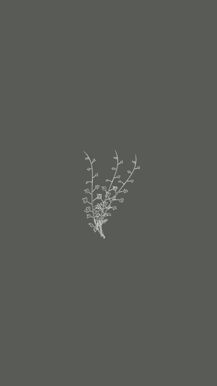 A small plant with branches on top of it - Minimalist