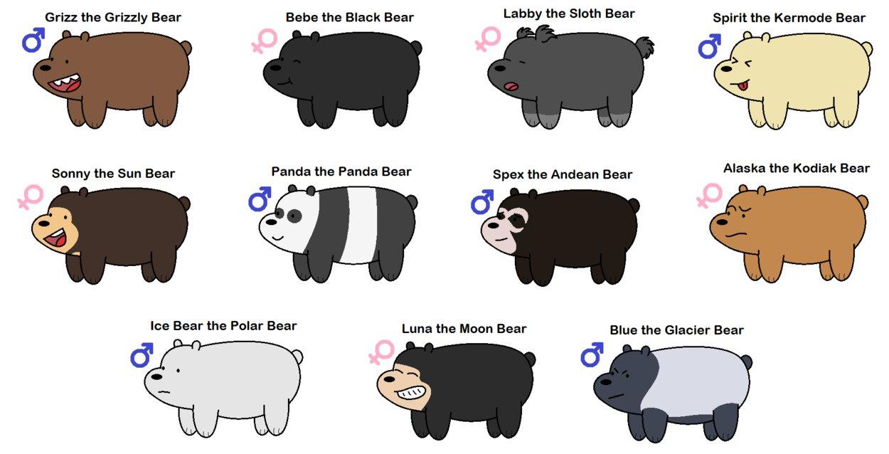 A chart showing the different types of bears - We Bare Bears