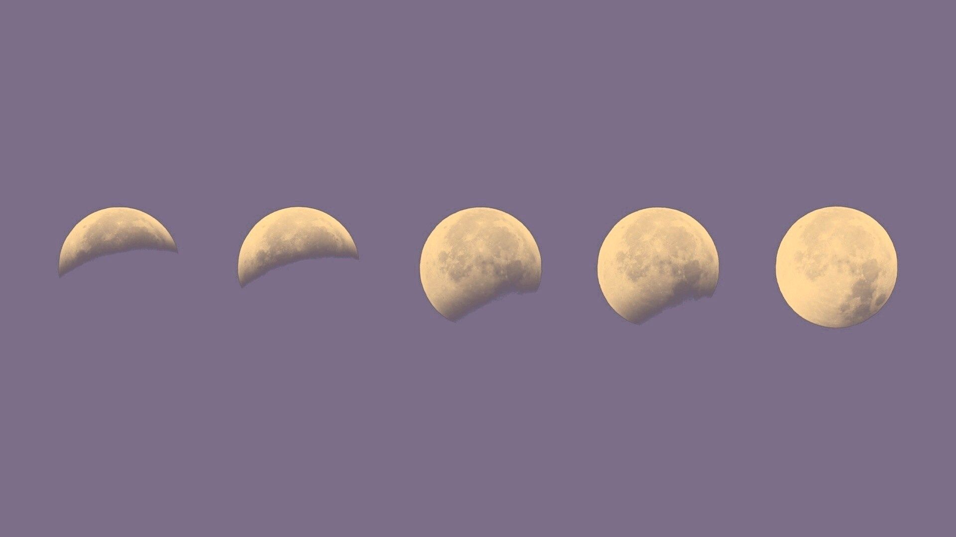 Moon phases on a purple background - Moon phases