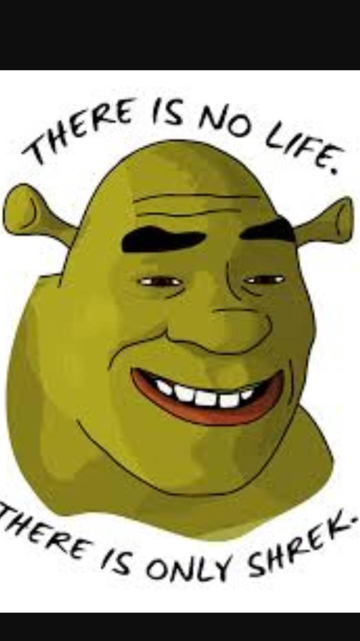 Funny Shrek Wallpaper