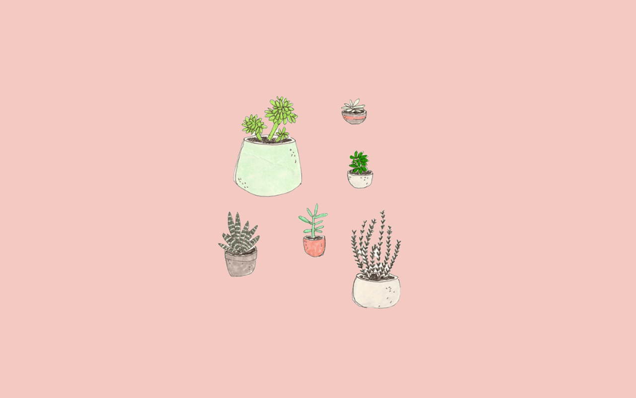 A collection of illustrated succulents and cacti in pots on a pink background - Computer, cute, kawaii, cactus, pink