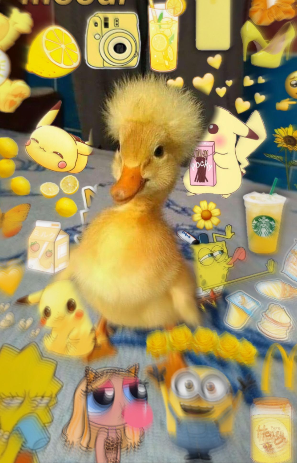 A yellow duckling standing on a counter with a background of cartoon characters. - Duck