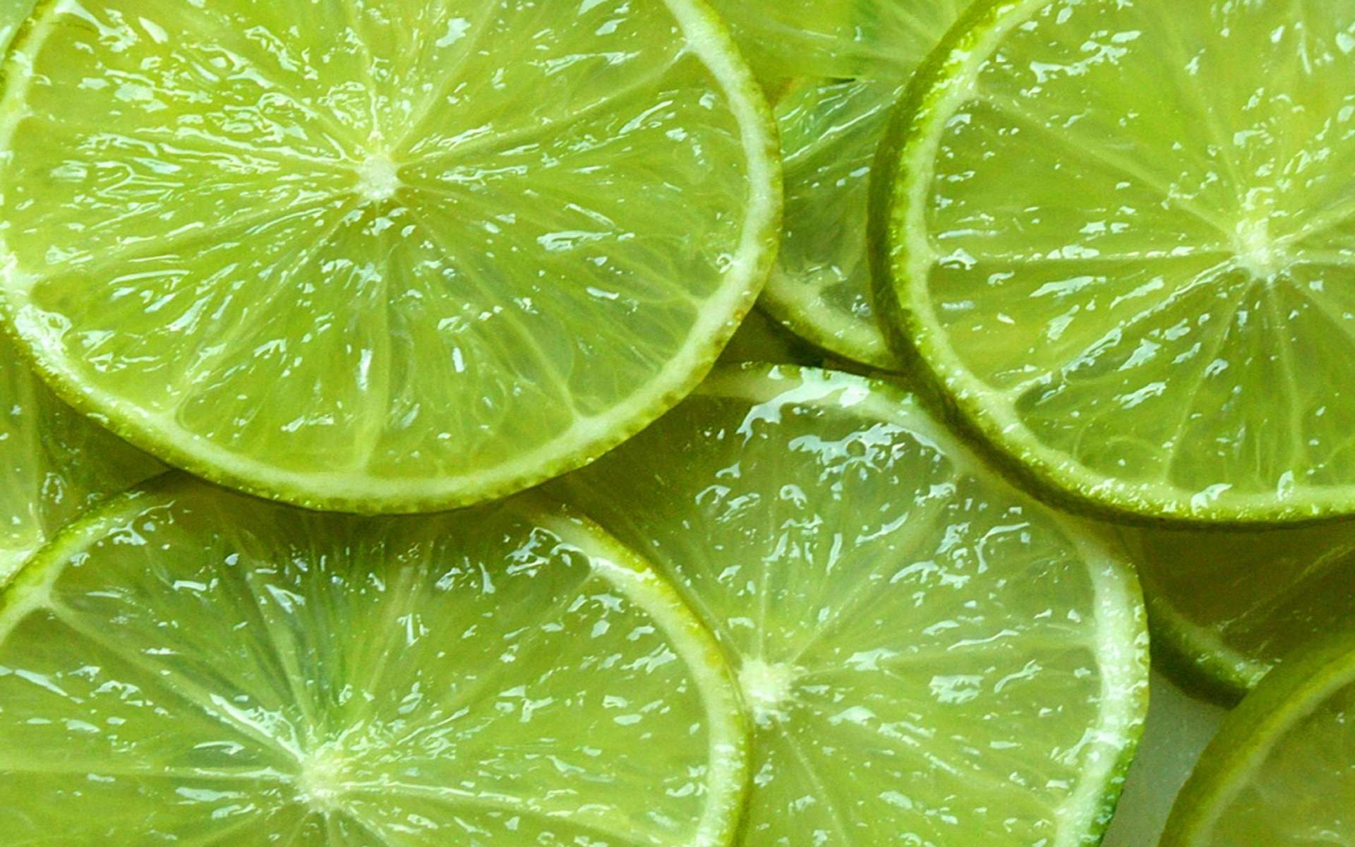 A close up of several slices of lime. - Lemon