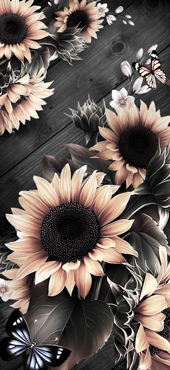 Sunflowers on a wooden background - Beautiful