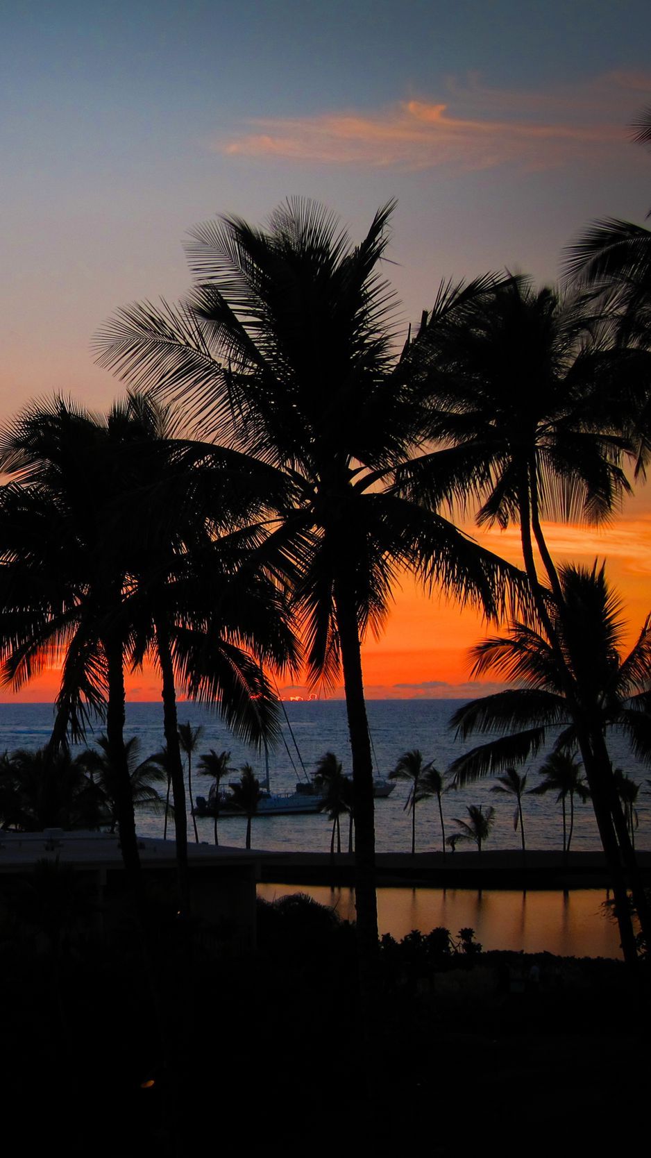 Palm trees are silhouetted against the orange and blue sky of a tropical sunset. - Hawaii