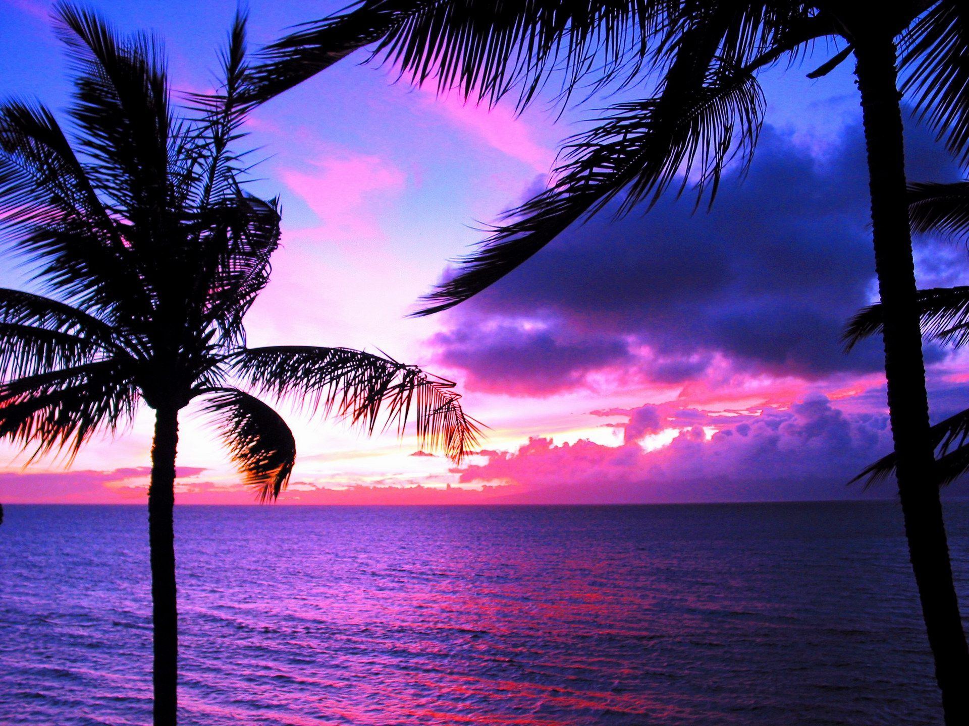 A sunset over the ocean with palm trees - Hawaii