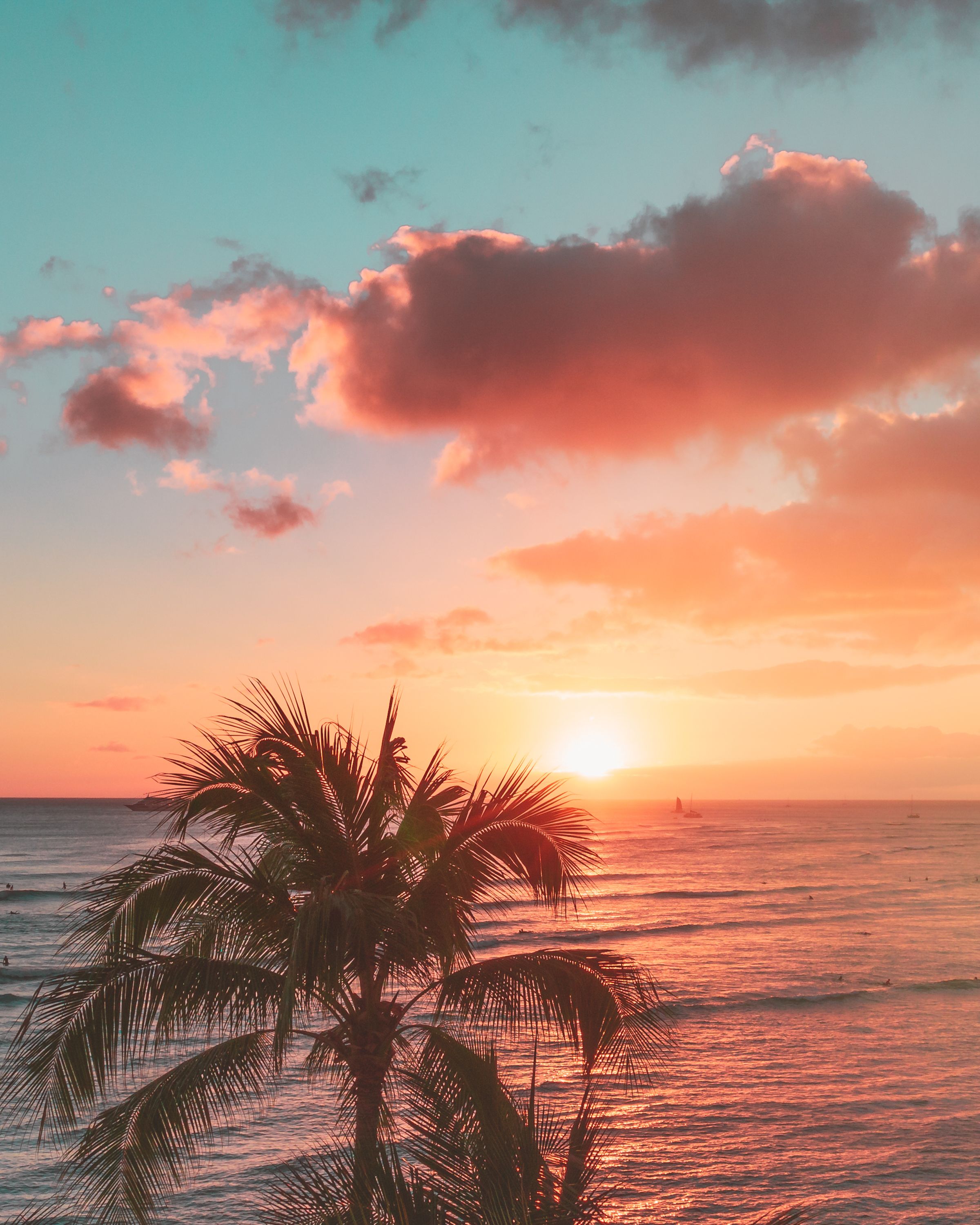 A photo of a palm tree in front of a beach at sunset - Hawaii