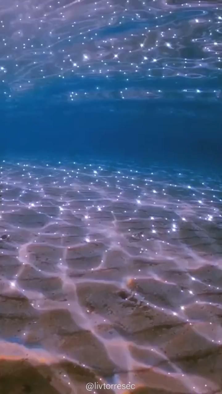 A view of the ocean floor from underwater - Mermaid