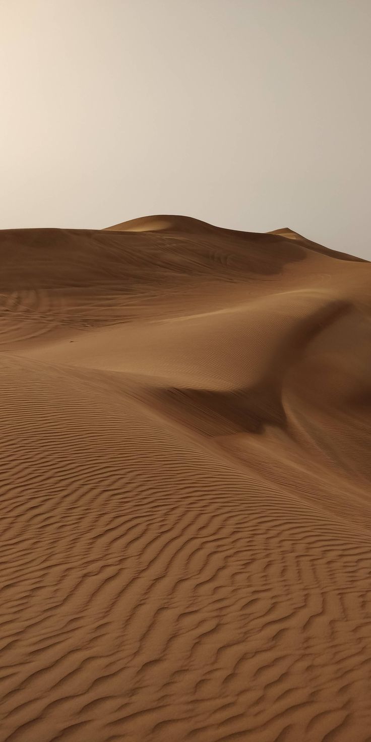 Snapped this on a super hot day in the arabian desert Dubai. [OC] [2304x4608]. Desert aesthetic, iPhone wallpaper sky, iPhone background wallpaper