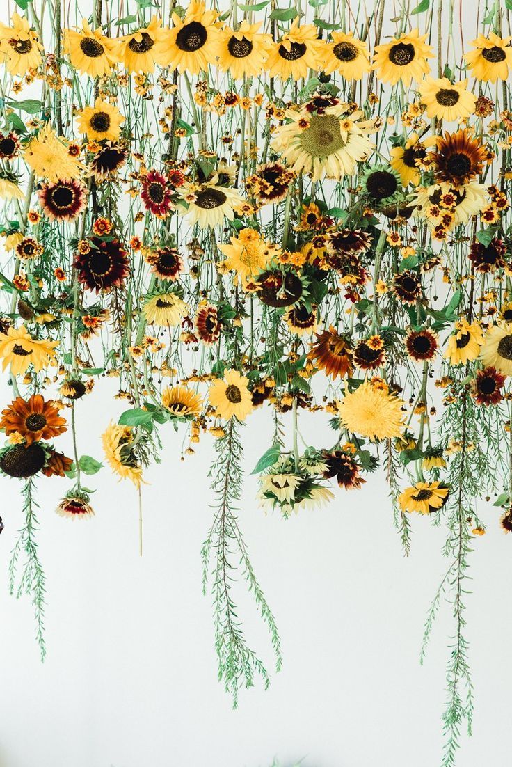 Sunflowers hanging from the ceiling - Wedding