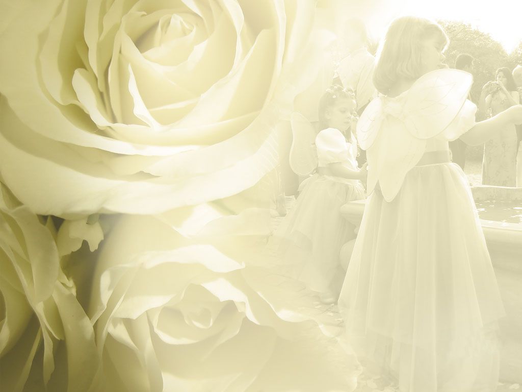 A beautiful wedding background with a bride and groom. - Wedding