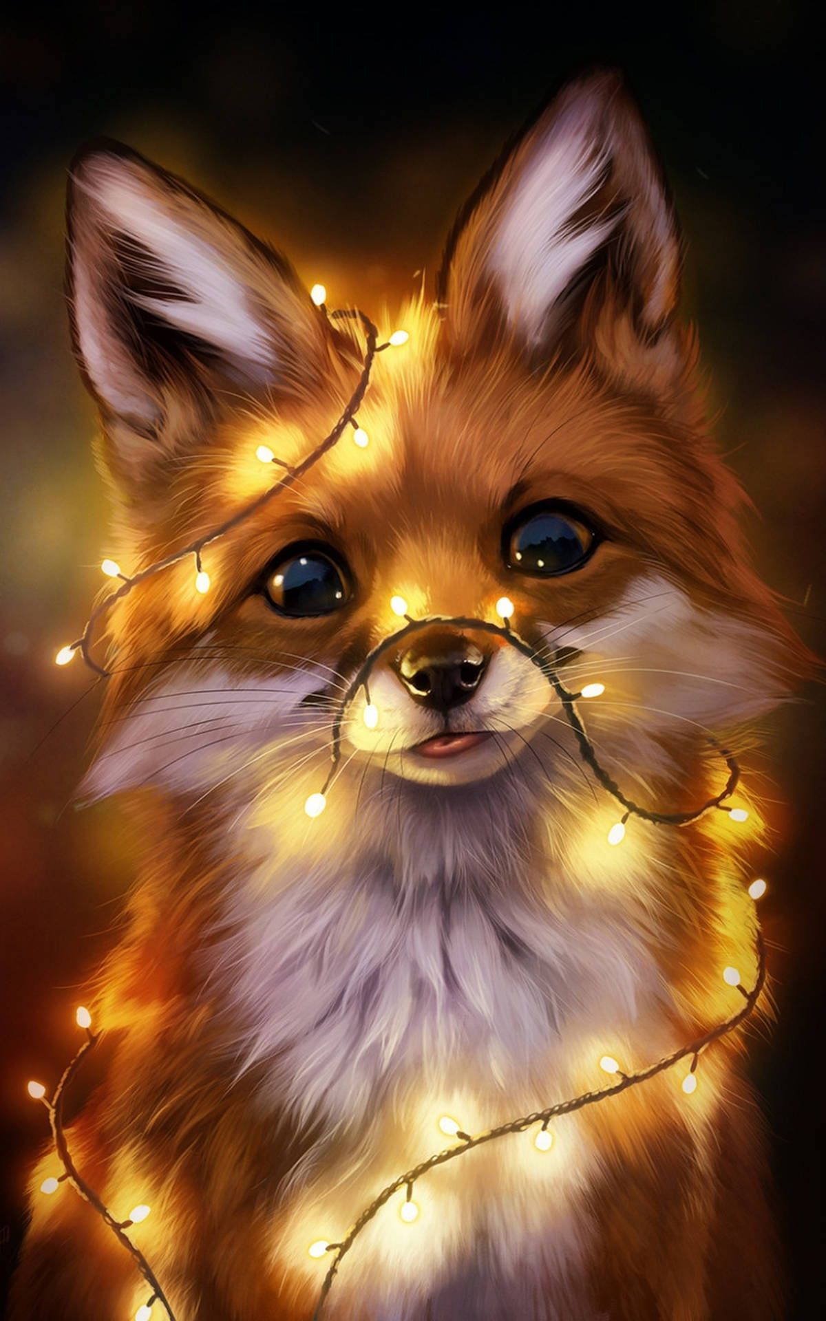 A fox with lights around its neck - Fox