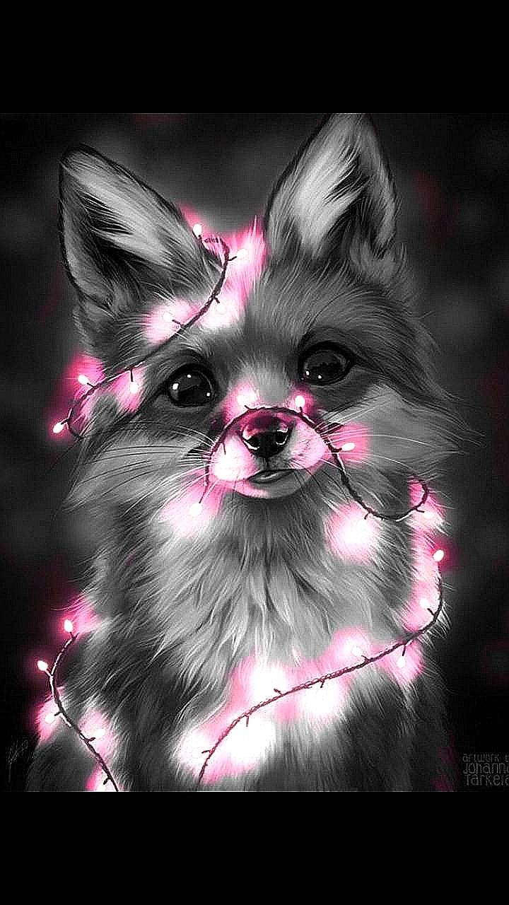 A fox with pink lights around its neck - Fox