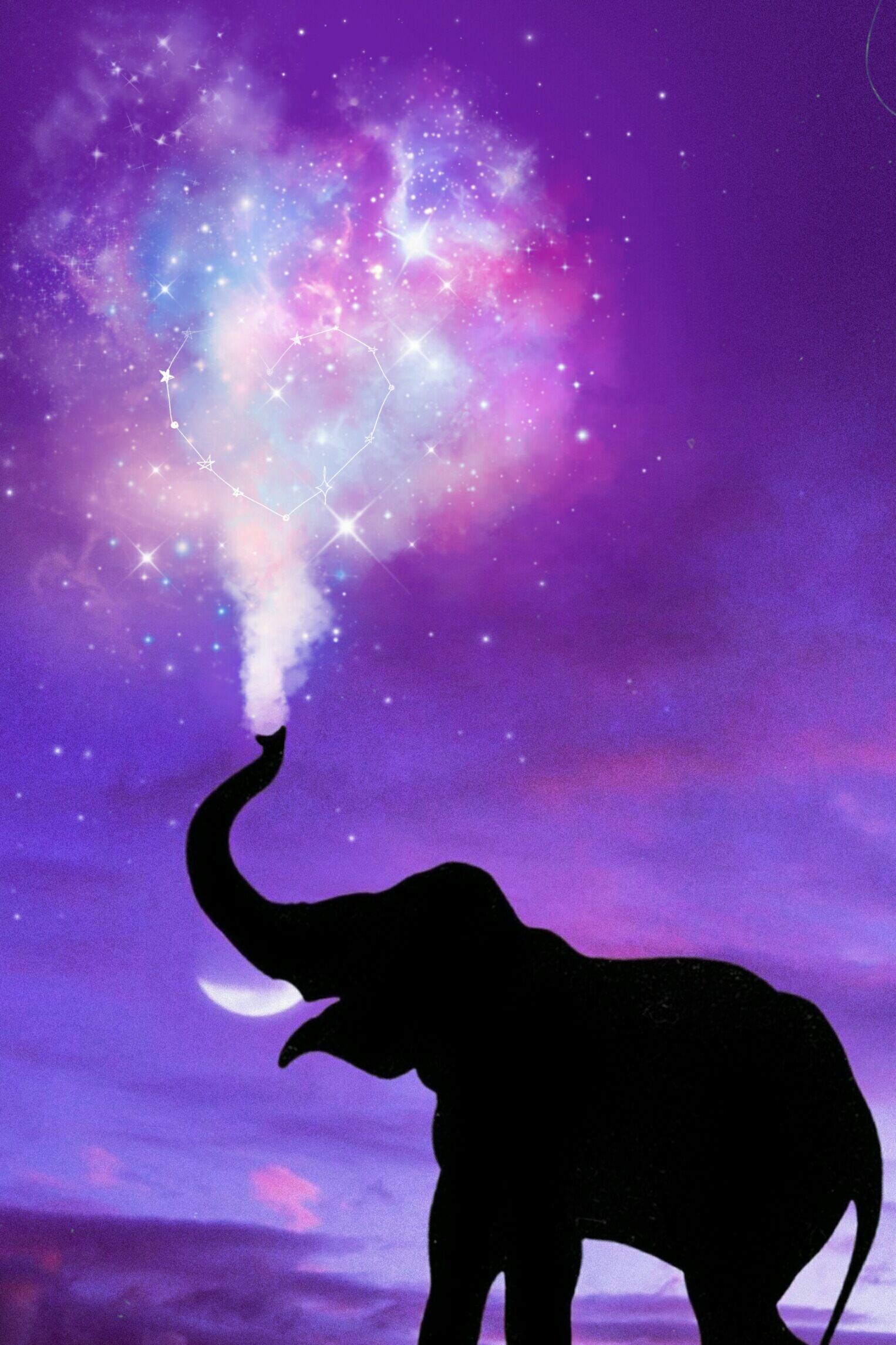 An elephant standing in front of a purple sky - Elephant