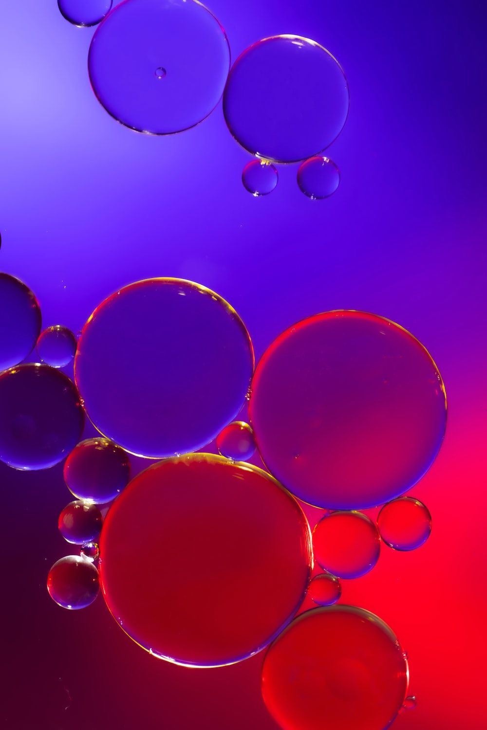 Oil bubbles in water with a red and blue background - Bubbles