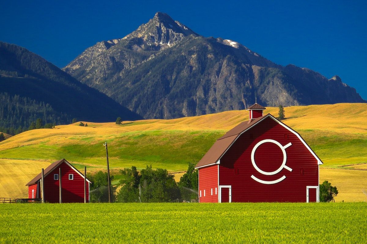 A red barn sitting in the middle of green grass - Farm